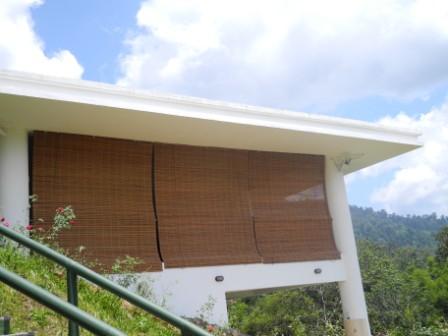 Bamboo Blinds (39)