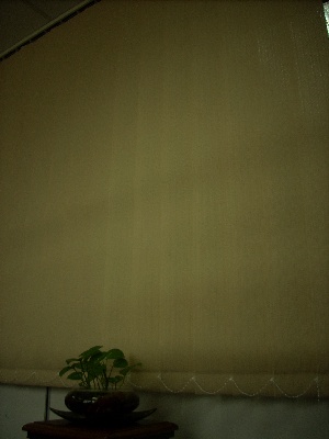 vertical blinds (3)